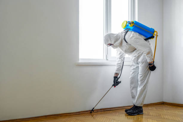 Best Residential Pest Control  in White Meadow Lake, NJ