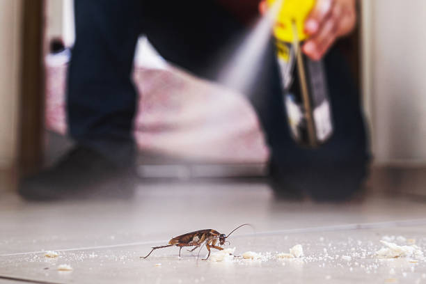 Best Best Pest Control Companies  in White Meadow Lake, NJ